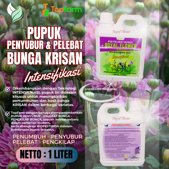 Pupuk Bunga Krisan Agar Berbunga / Pupuk Untuk Bunga Krisan / Pupuk Penyubur Bunga Krisan / Pupuk Ta