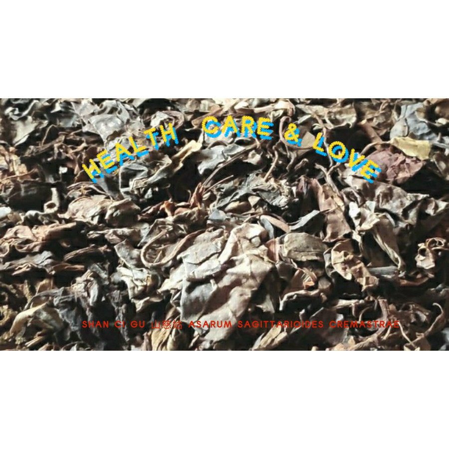 

Shan Ci Gu 山慈姑 Asarum Sagittarioides Cremastrae 50 Gr