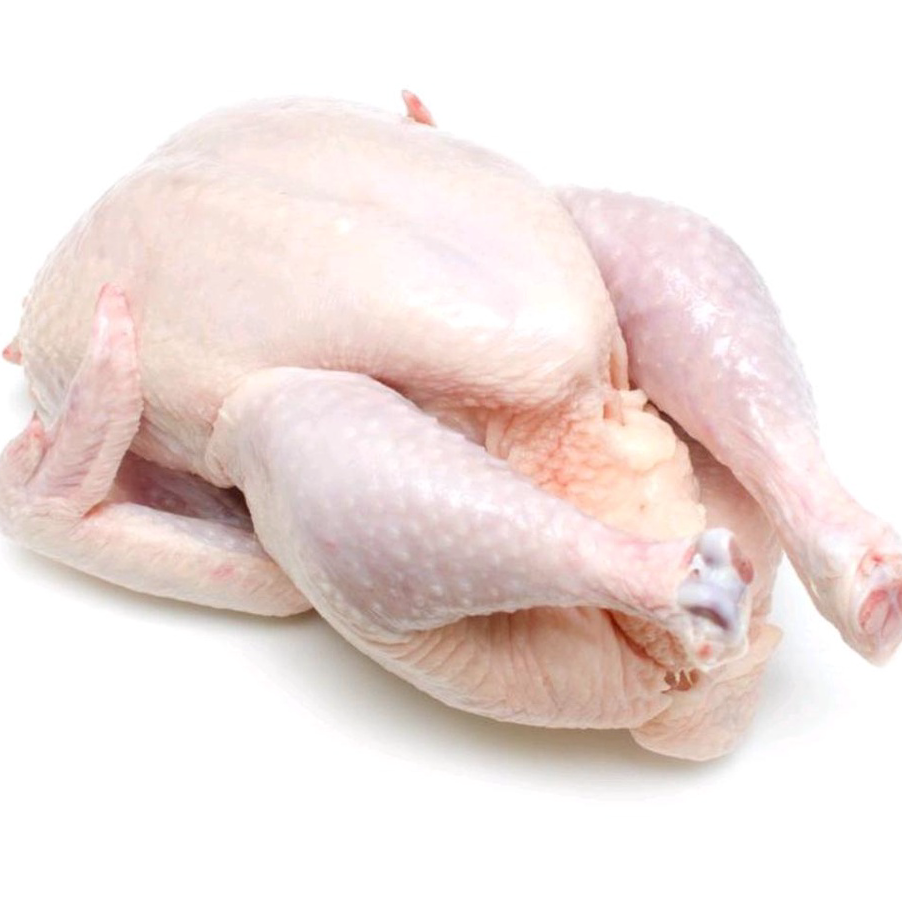

RVNQ9805 Terlaku... ayam broiler frozen 1,1 sd 1,2kg/ayam karkas/ayam murah/ayam broiler