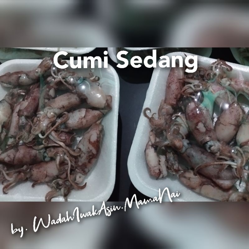 

ikan asin murah Cumi asin sedang / cumi asin murah / cumi asin ecer