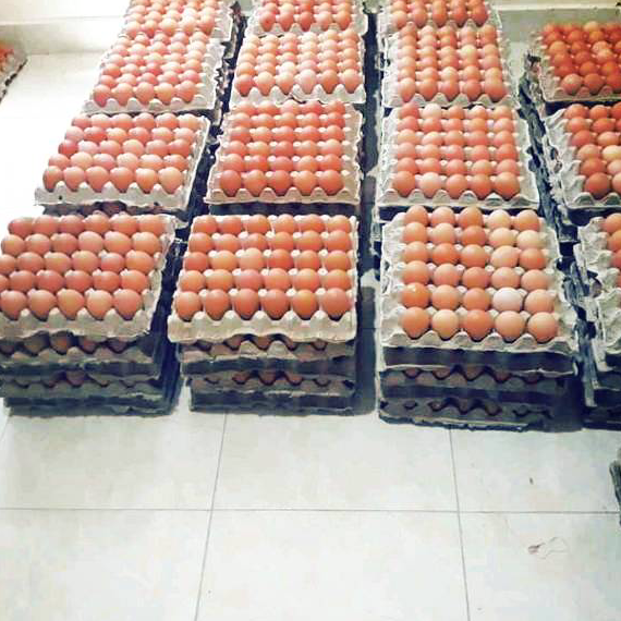 

DKYF9200 Dijamin Ori [PROMO PAKET HEMAT BISA FREE ONGKIR] Telor / telur ayam negeri per kg fresh baru