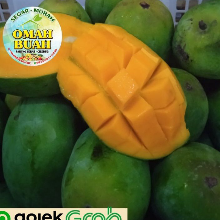 

GVHH4178 (C6369] Mangga Harum Manis 900 gram - 1 Kg