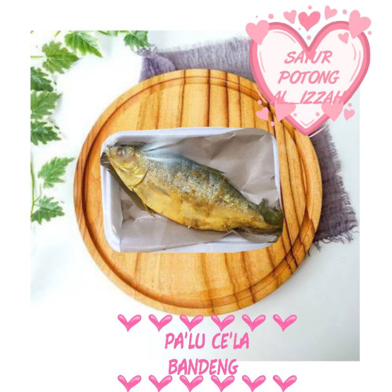 

PA'LU CE'LA BOLU/IKAN BANDENG KUNING/IKAN BOLU KUNING