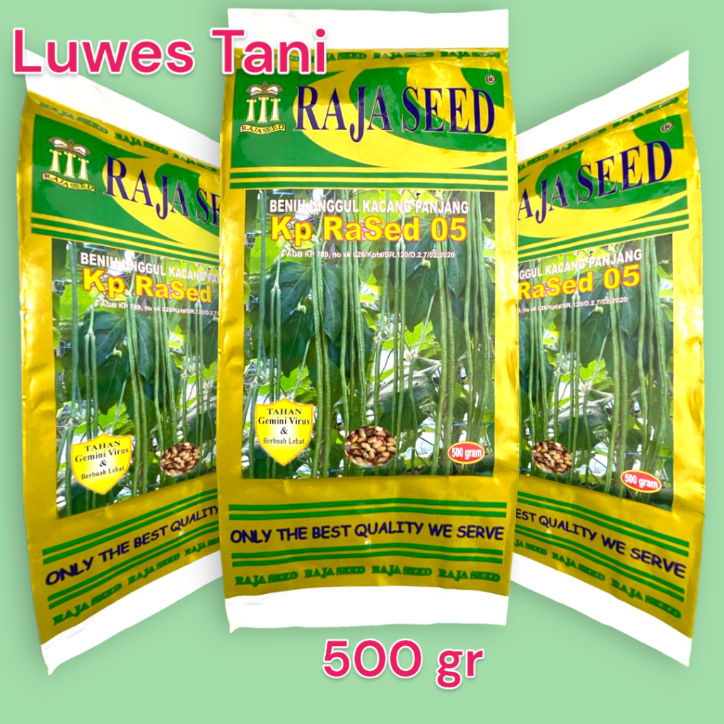 benih kacang panjang raja seed kp rased 05 500 gram tahan virus