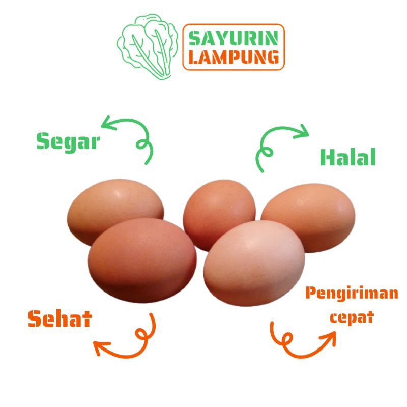 

telur ayam ras / telur ayam negeri 1kg - SAYURin LAMPUNG