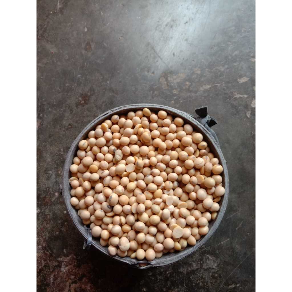 

Kacang Kedelai Super Mentah - Bahan Makanan