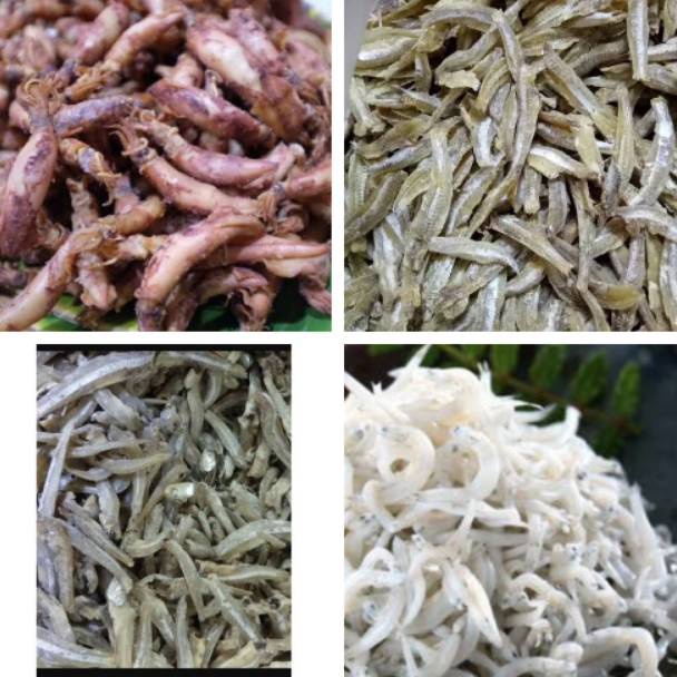 

GROSIR MURAH Teri Medan, Teri Lampung, Teri Jengki, Cumi Asin 100 gram