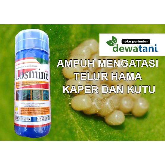 Insektisida Spesialis Berantas Telur Hama Tanaman Bahan Aktif Lufenuron 50g/l