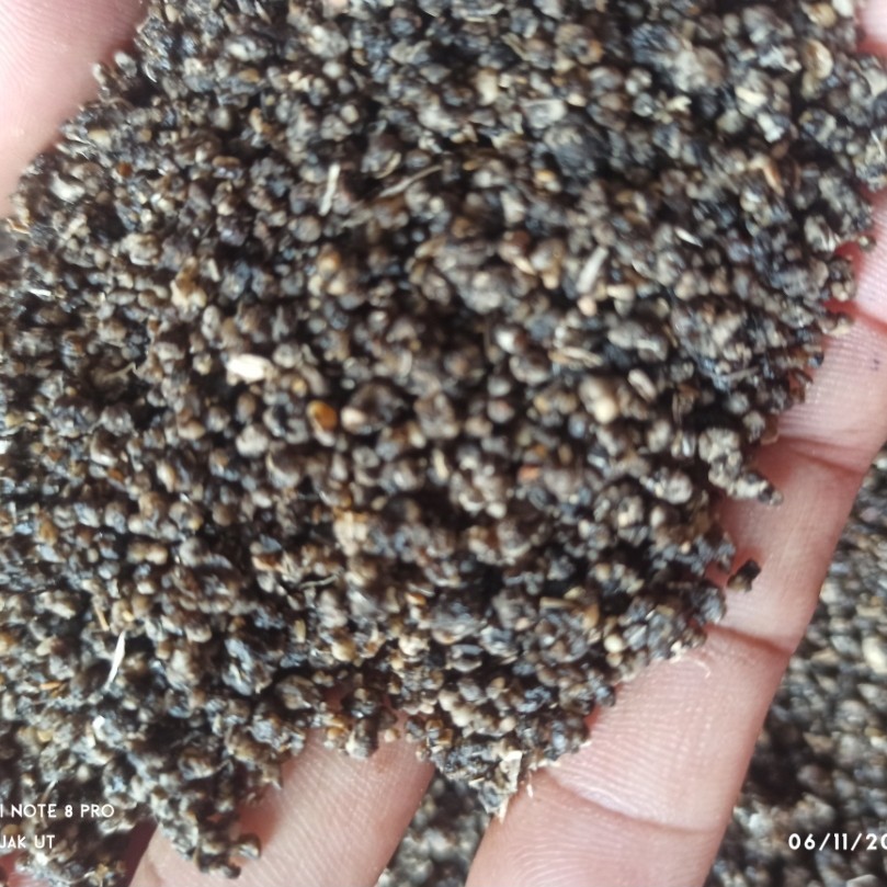 

OYEK TIWUL NASI SINGKONG