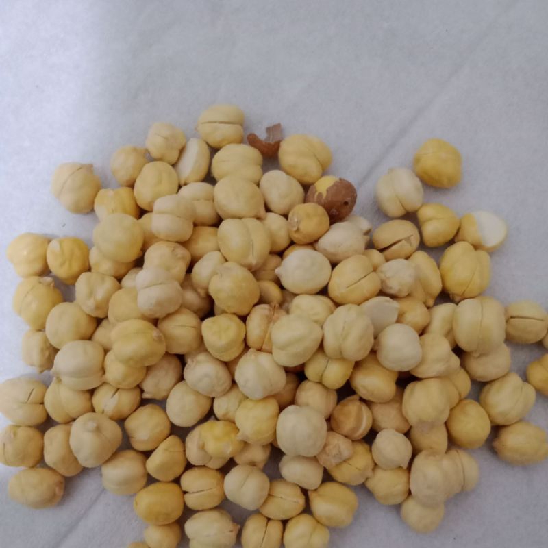 

kacang arab hamush