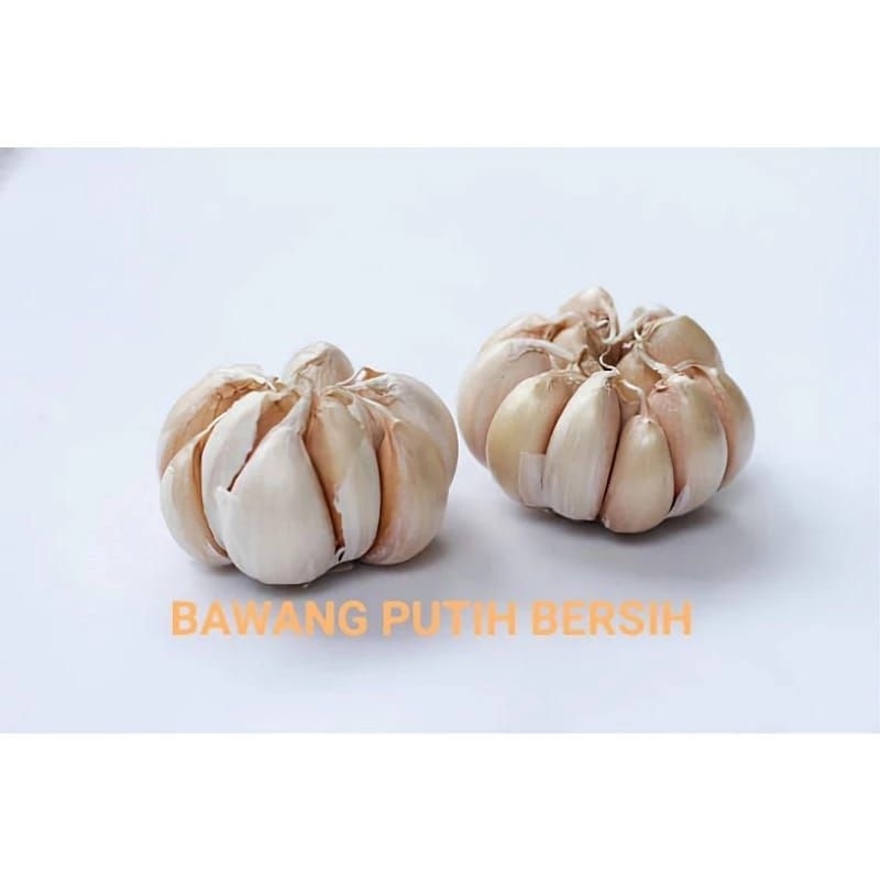 

BAWANG PUTIH PREMIUM