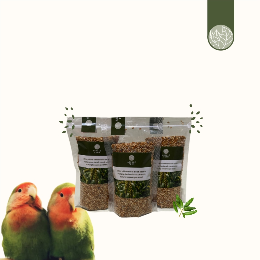 Pakan Burung Semey Voer 500gr Murai Prenjak Kacer Burung Sehat Gacor