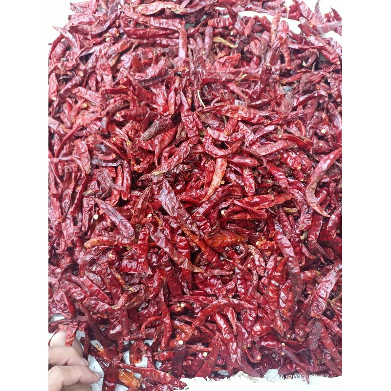 

CABE RAWIIT CAPLAK TEJA SUPER PEDAS TANPA TANGKAI 1 KG PACKUNG