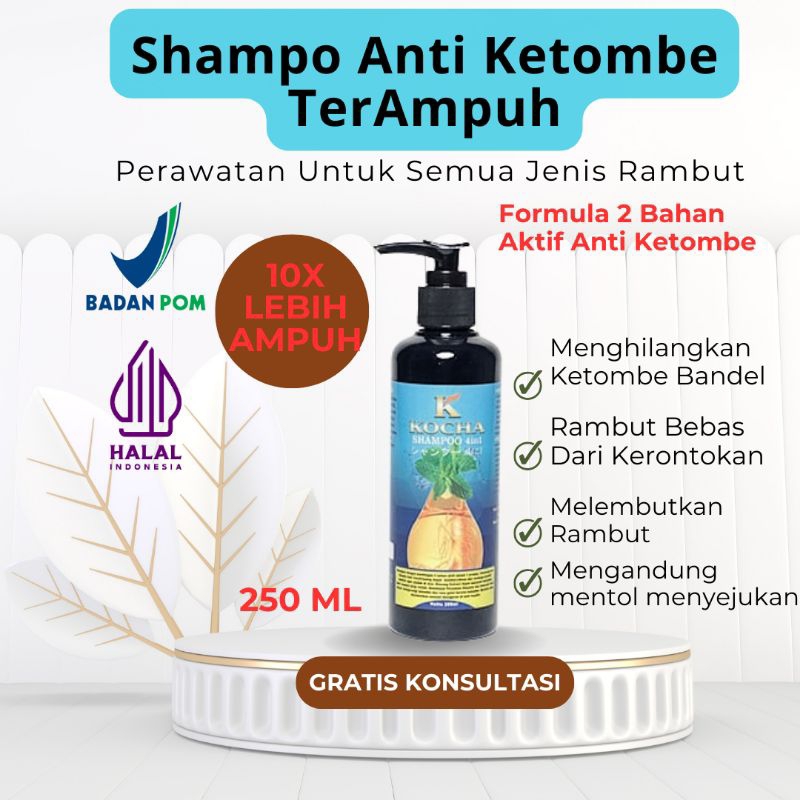 Shampo Anti Ketombe Dan Rambut Rontok Parah Ketombe Berkerak Obat Ketombe Rambut Rontok dan ketombe 