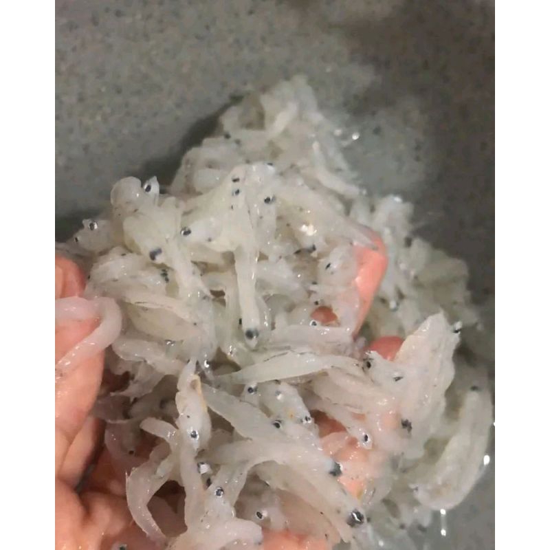 

Teri Nasi Basah 200gr