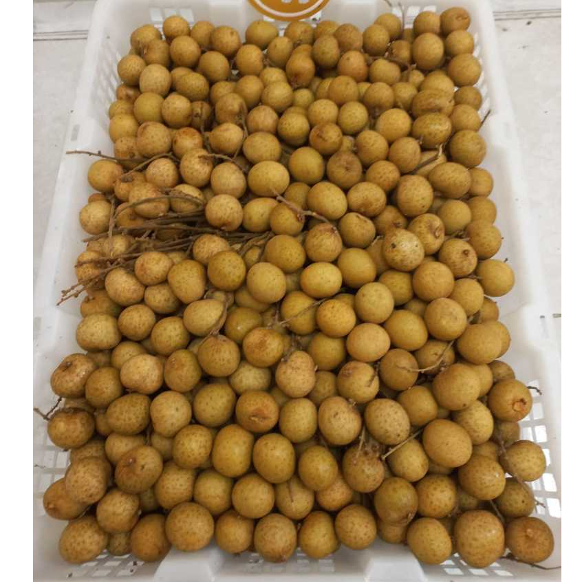 

LENGKENG FRESH PACK 500GRAM PROMOOOO