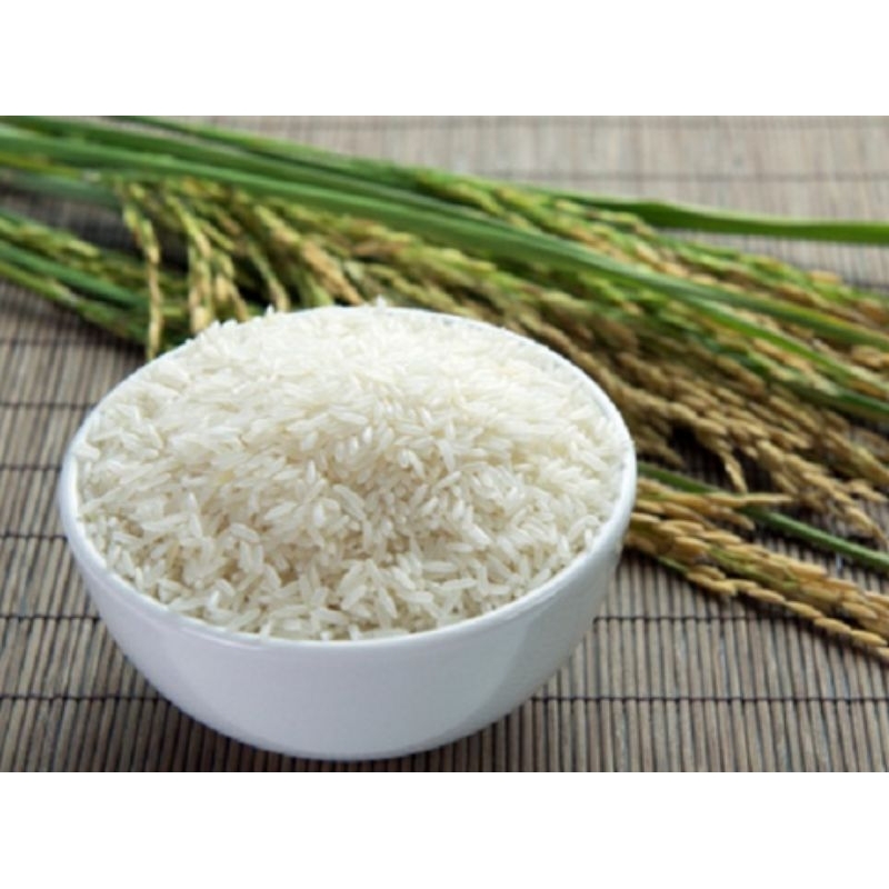 

BERAS PREMIUM TH 55 1KG