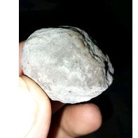 muncang adu jj jalim jawa