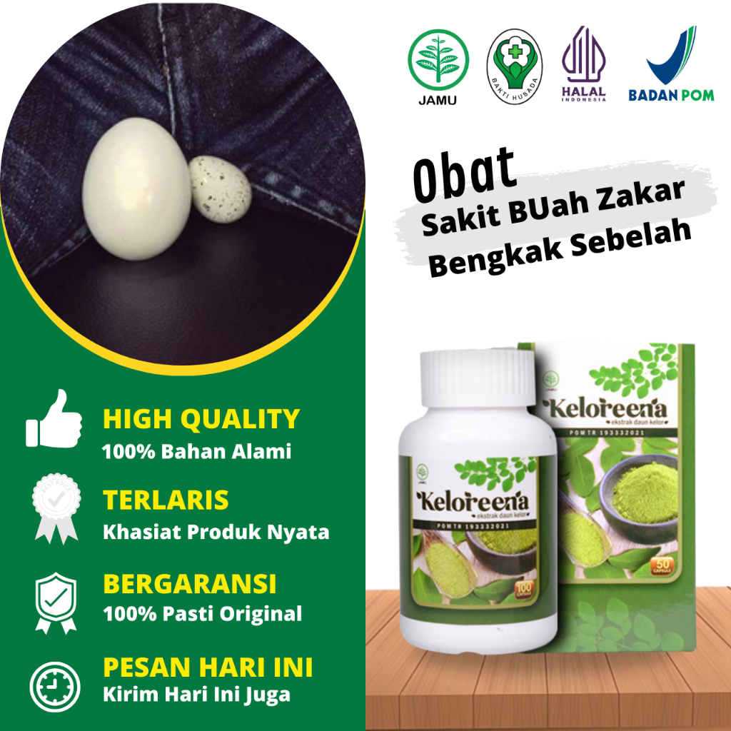 Obat Buah Zakar Bengkak Sebelah, Obat Testis Nyeri, Obat Testis Bengkak, Obat Parikokel, Obat Variko