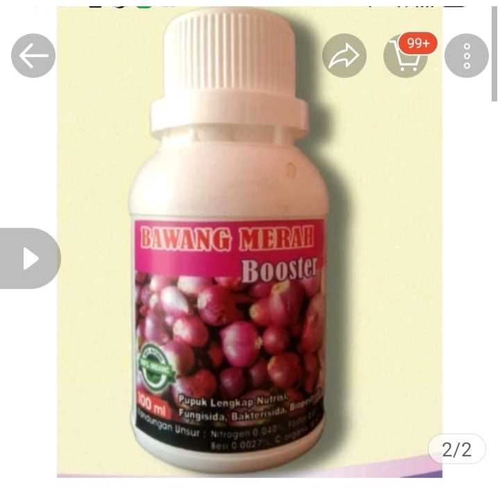 Booster Bawang Merah Pupuk Plus Fungisida Hama