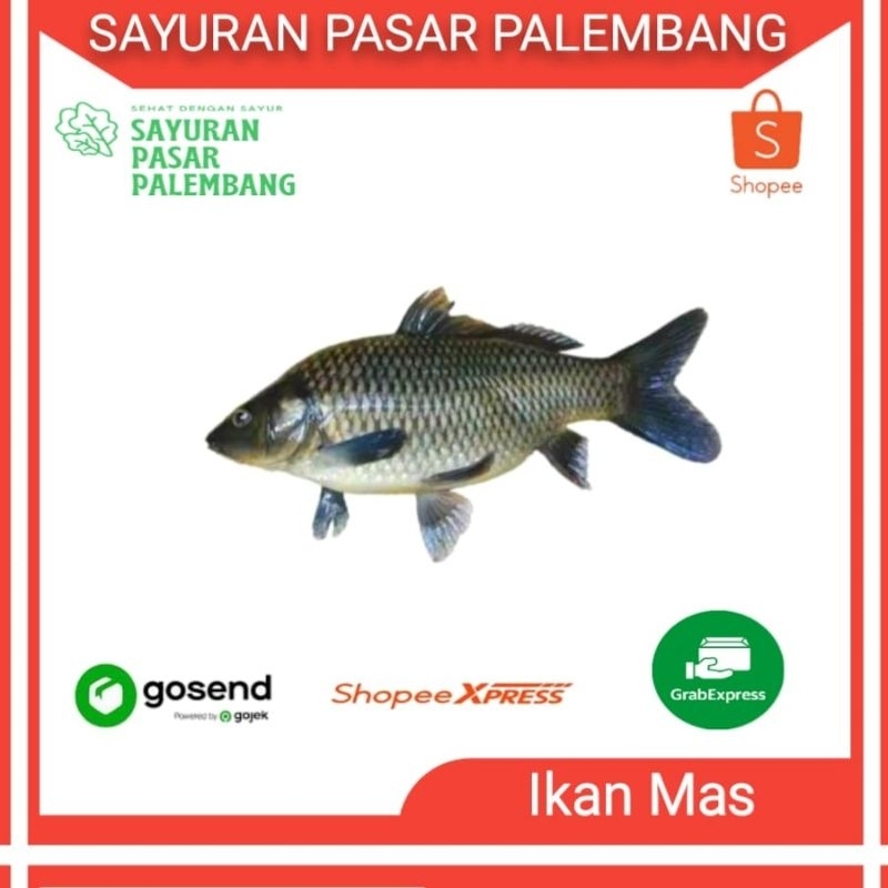 

Ikan Mas - Sayuran Pasar Palembang