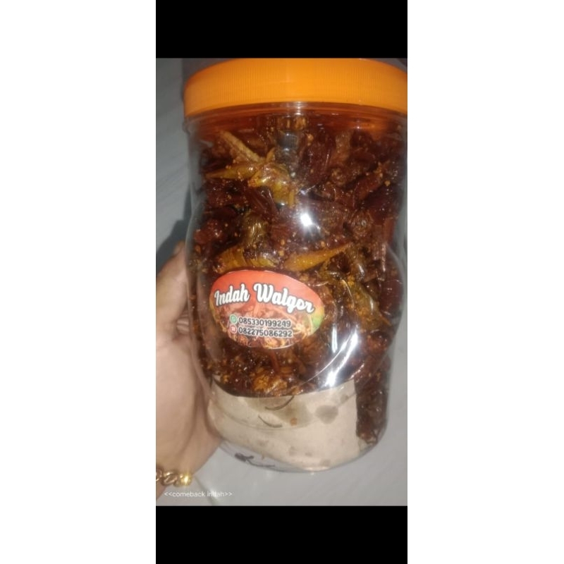 

Belalanggoreng, Belalangrenyah, Belalangkriyuk