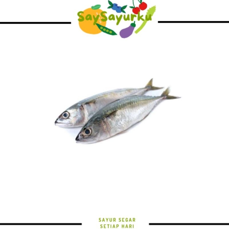 

IKAN KEMBUNG 500GR