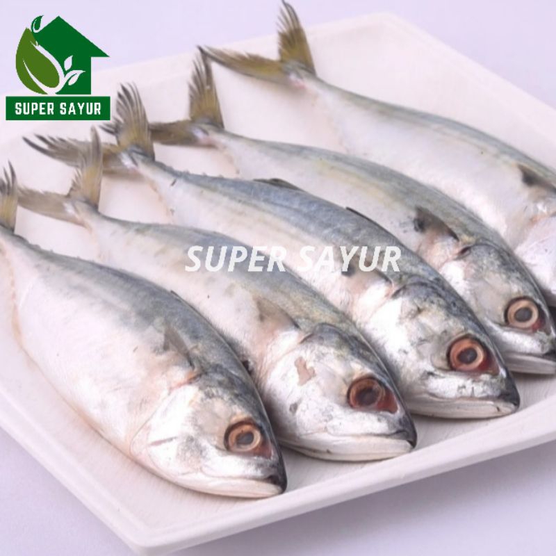 

Ikan Kembung Banjar Premium Bersih 1 Kg Daging Legit Kualitas Super Sayur
