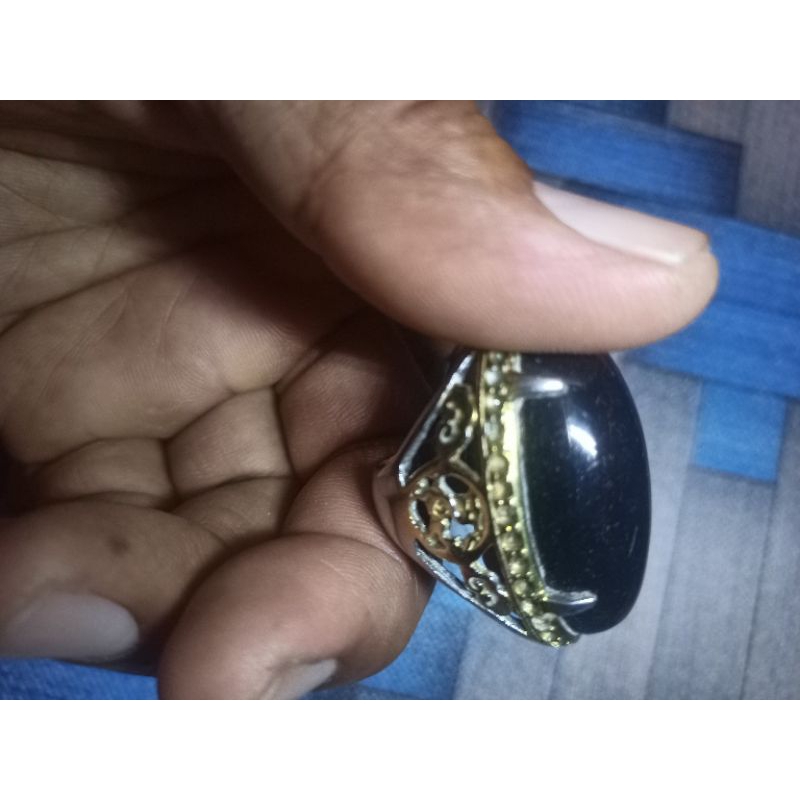 batu akik fosil kelor