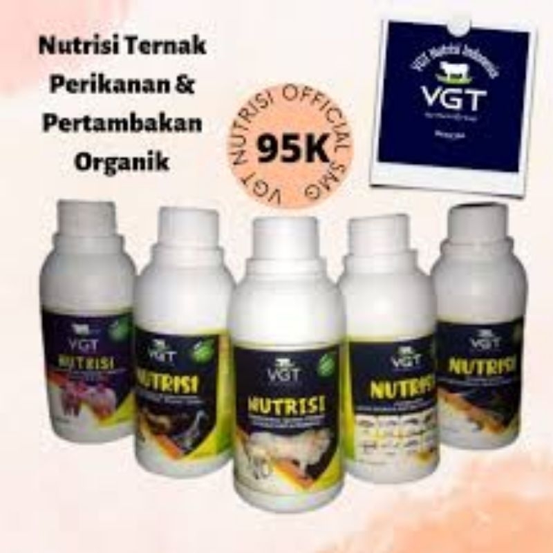 VGT Nutrisi Penggemuk Ternak