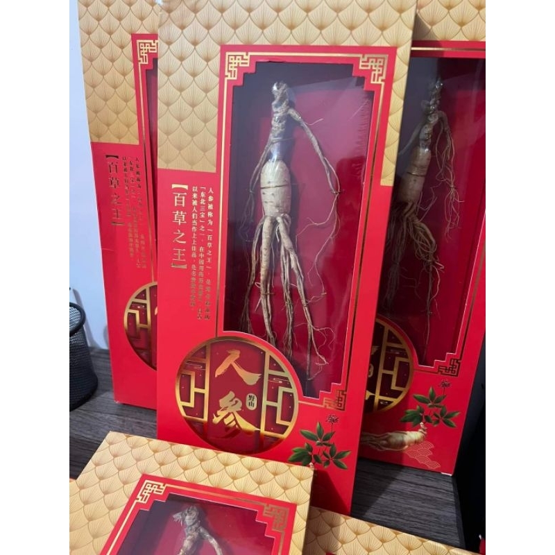 

Ginseng asli premium import 人参 ren shen antikanker, meningkatkan fungsi otak, meningkatkan metabolisme tubuh, menjaga kesehatan kulit, menambah energi dan stamina