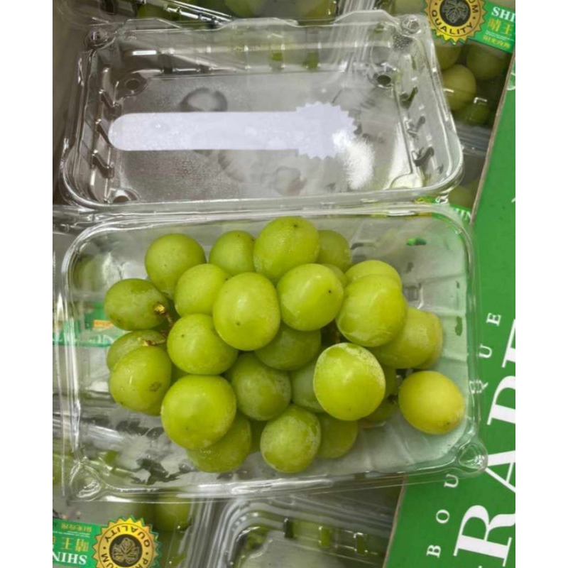 

ANGGUR GREEN MUSCAT