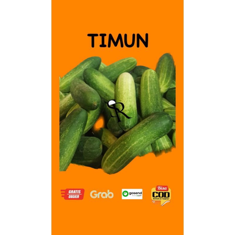 

timun