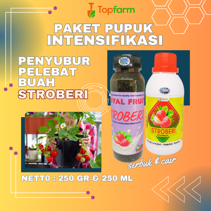 Pupuk Stroberi Berbuah Lebat / Pupuk Booster Stroberi / Pupuk Pelebat Buah Stroberi / Pupuk Pembesar