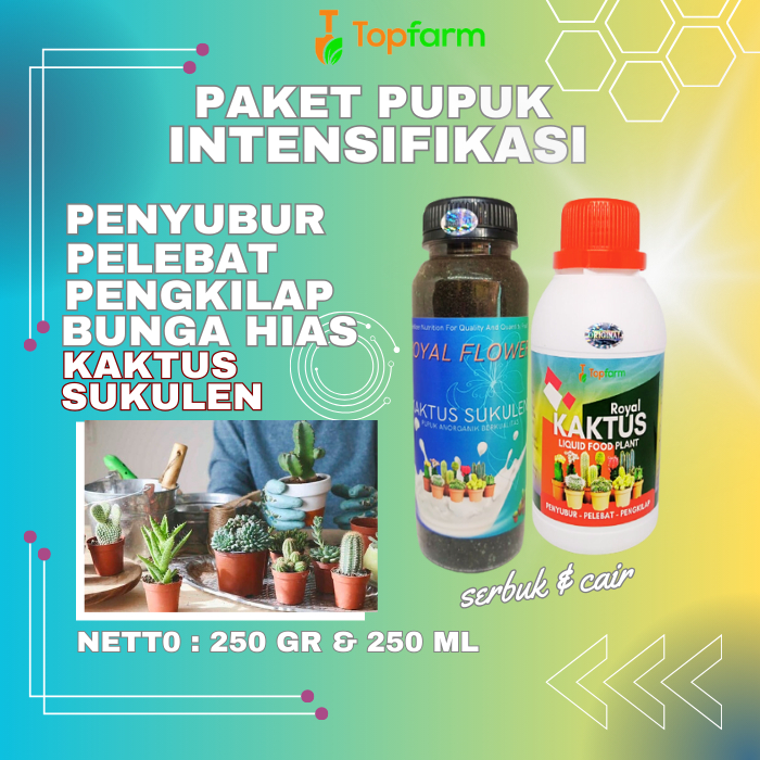 Pupuk Sukulen Dan Kaktus / Pupuk Penyubur Kaktus / Pupuk Kaktus Dan Sukulen / Pupuk Untuk Kaktus Suk