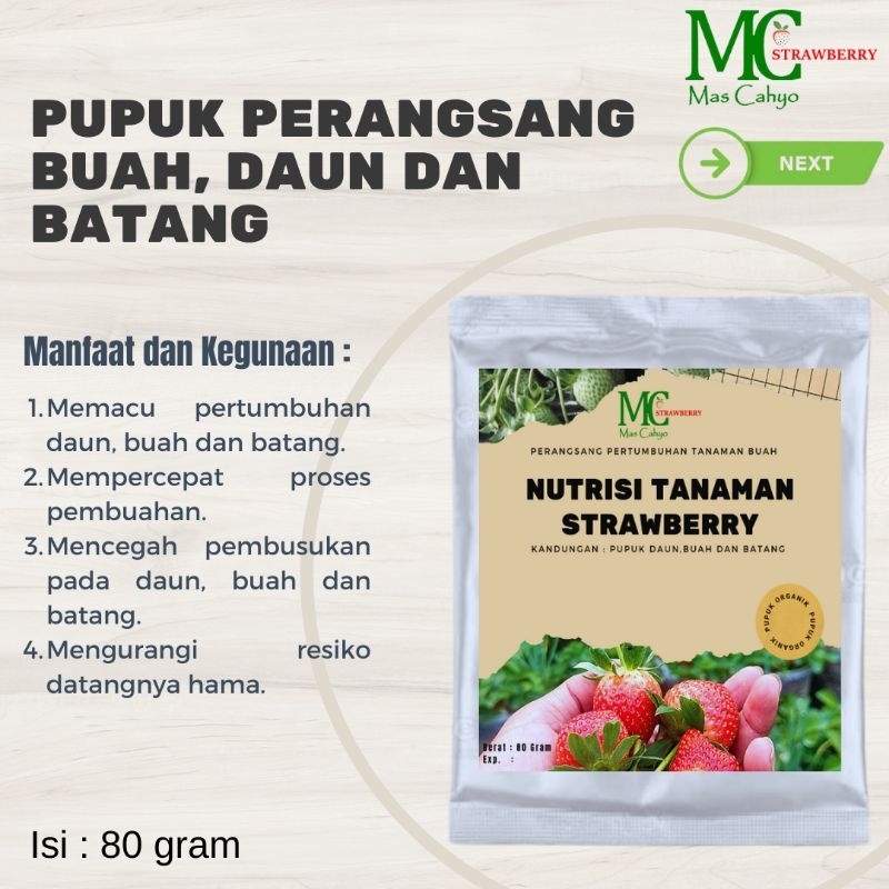 Pupuk Semprot Organik Bibit Strawberry