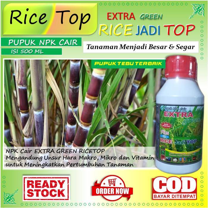 (500 ml) pupuk tebu anti hama - pupuk tebu murah - pupuk tebu cair - pupuk tebu organik (Rice Top) p