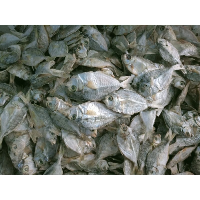 

Ikan Dodog Asin ukuran sedang 100 gram