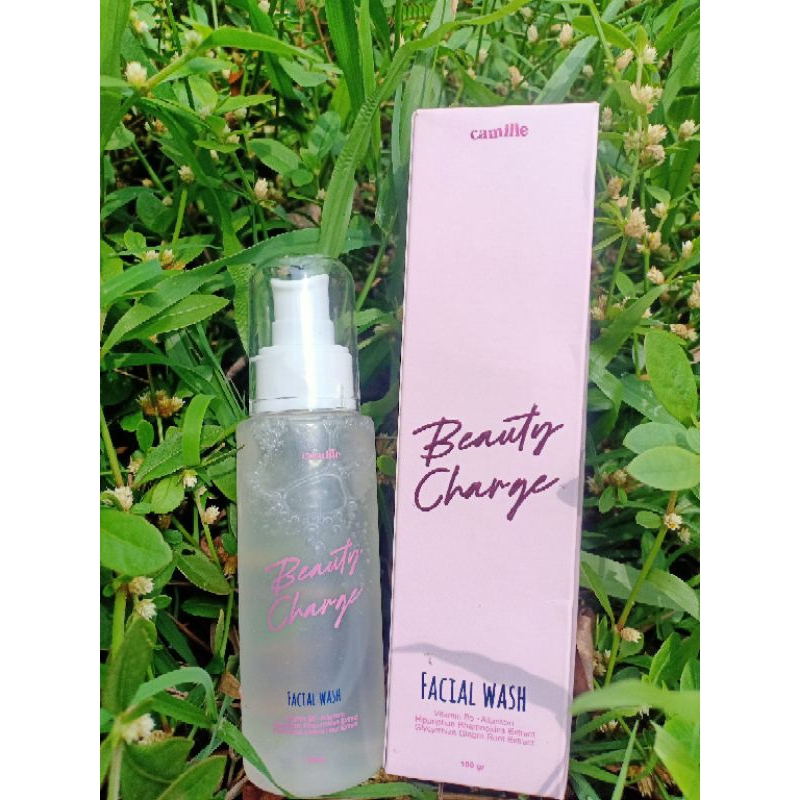Beauty Charge Facial Cleancer ~ Camile Beauty