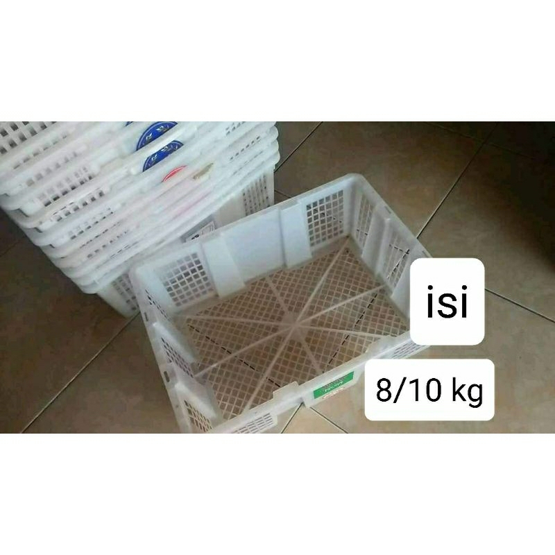 

bawang merah setandart