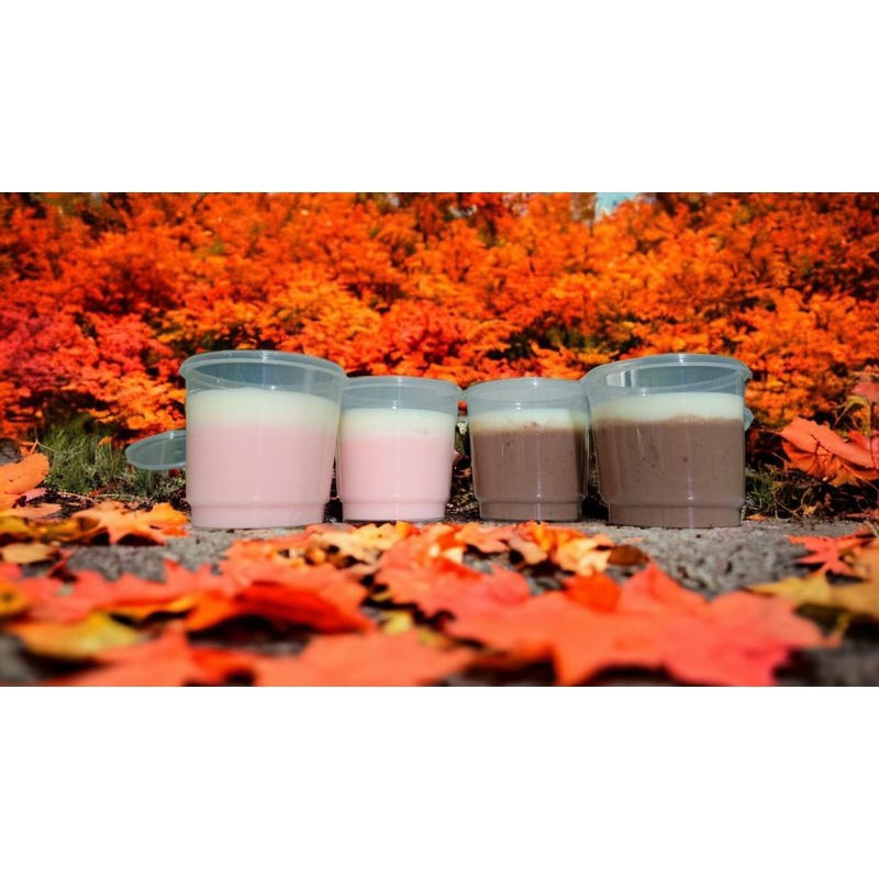 

Puding vla mini fresh bahan premium