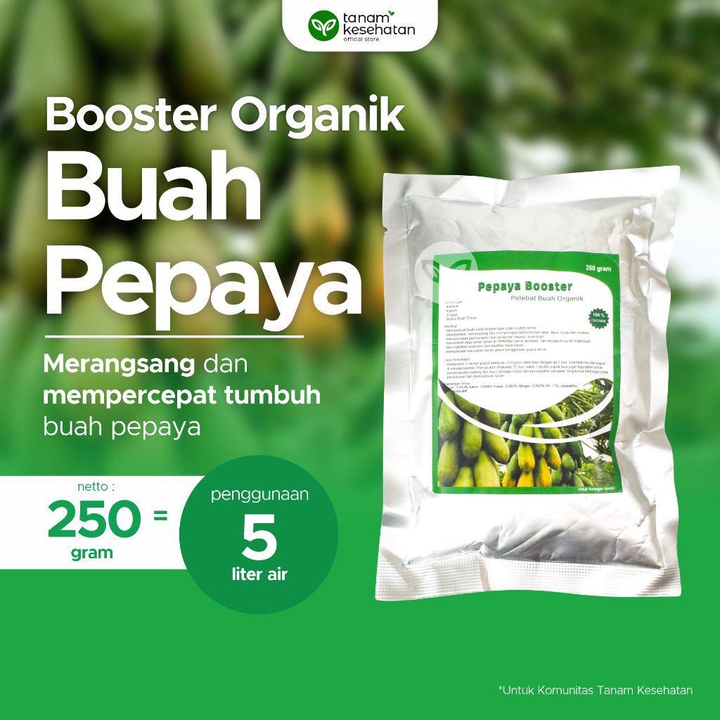 Pupuk Booster Pelebat Organik Perangsang Pepaya Cepat Berbuah Buah Pepaya