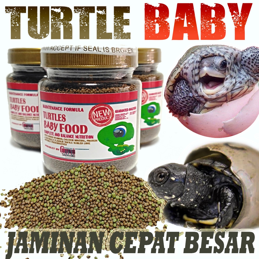 Makanan pakan anak bayi kura kura air baby brazil res dada merah turtle food 10gr