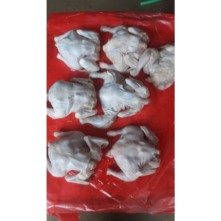 

⚡XPRESS⚡ Ayam broiler promo 300 sd 400 gram/ayam murah/ayam potong/ayam broiler