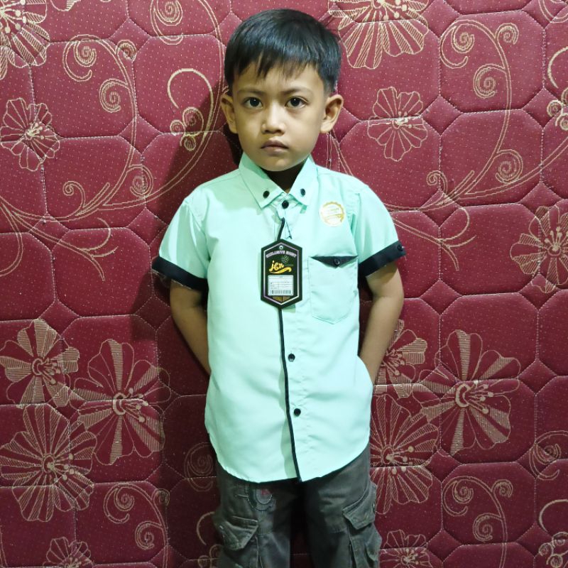 Kemeja anak Atasan anak Baju anak Kemeja polos Kemeja pendek Kemeja pria Kemeja natal