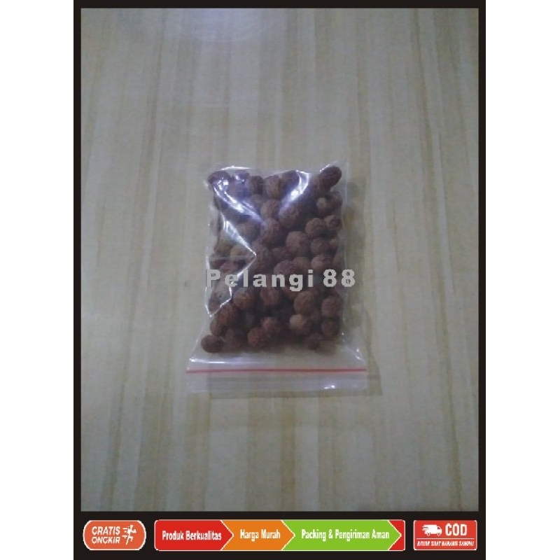 Bibit Kelor , Bibit Moringa , Bibit Bidara Arab , Bibit Tanaman , Biji Benih , Bibit Biji , Bidara ,