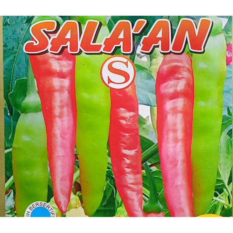 50 BUTIR BENIH CABE CABAI RAWIT SALAKAN SALA'AN ( Kemasan Repack )
