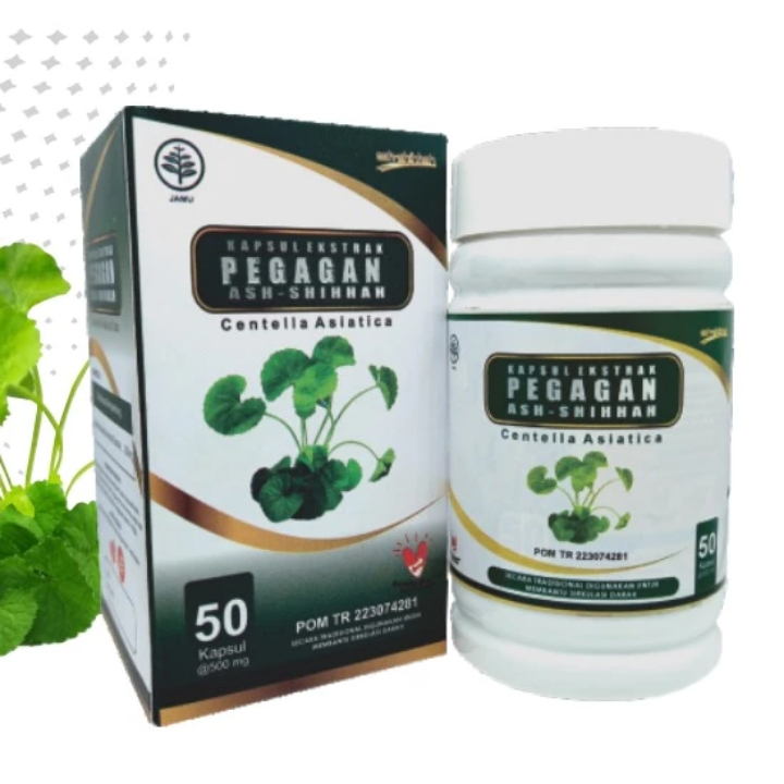 Kapsul PEGAGAN Ash-Shihhah Centella Asiatica Herbal Sirkulasi Darah