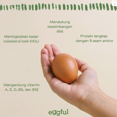 

EGGFUL Telur Ayam Organik Premium Free Range Cage Free Vitamin E Korea