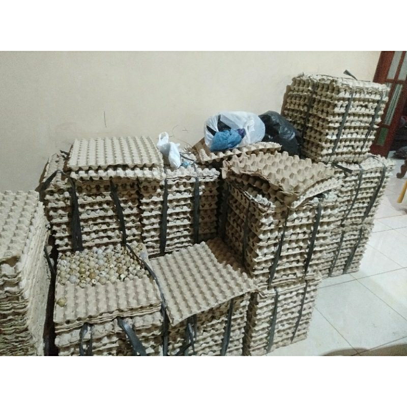 

telur puyuh konsumsi kini bisa didapatkan dengan mudah
